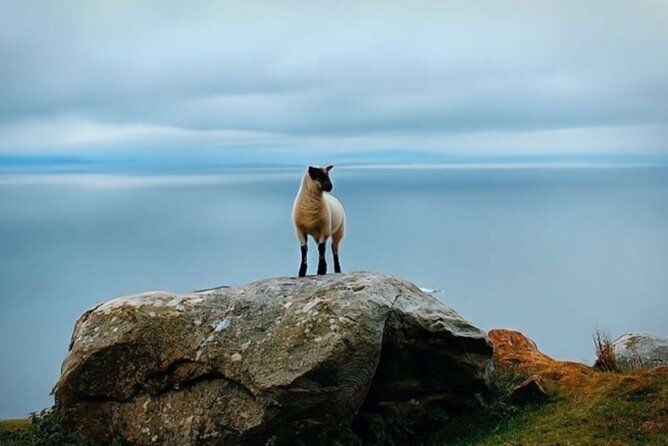 full-day-private-tour-to-ireland