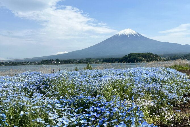 full-day-private-tour-to-mount-fuji-and-hakone