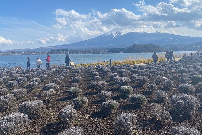full-day-private-tour-to-mt-fuji-by-luxury-vehicle