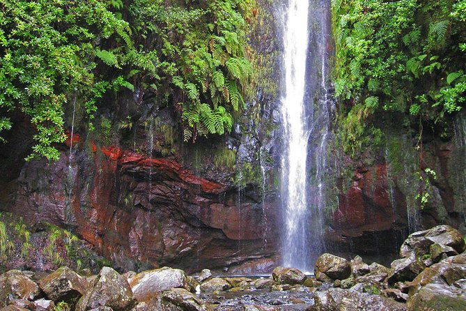 full-day-rabacal-levada-walk-from-funchal
