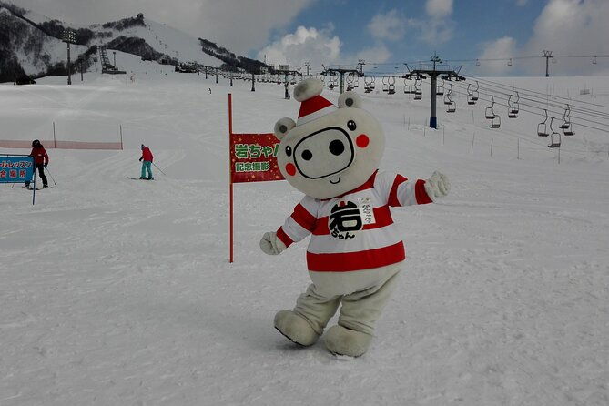 full-day-ski-lesson-6-hours-in-yuzawa-japan