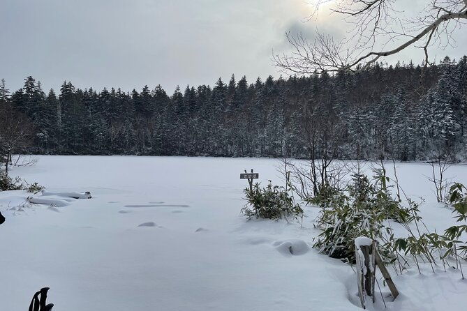 full-day-snowshoeing-adventures-with-onsen