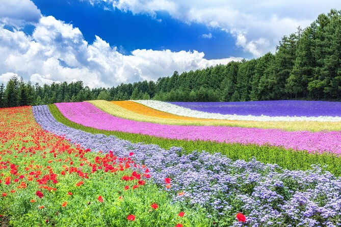 furano-private-customizable-full-day-tour