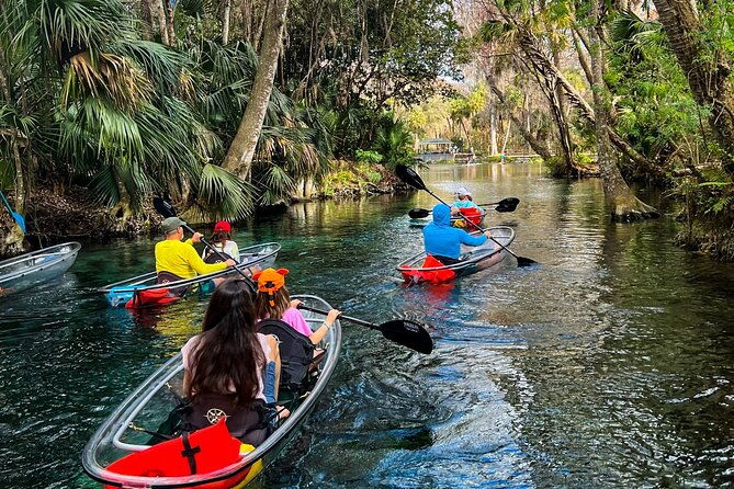 glass-bottom-kayak-tours-of-silver-springs