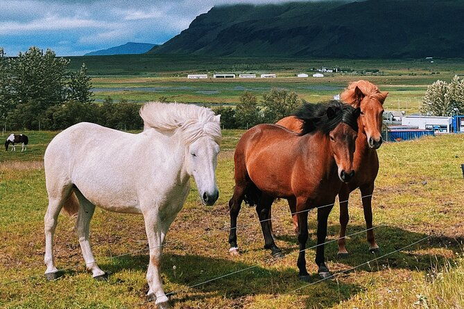 golden-circle-small-group-day-tour