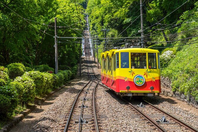 gourmet-tour-in-mountain-takao-tokyo