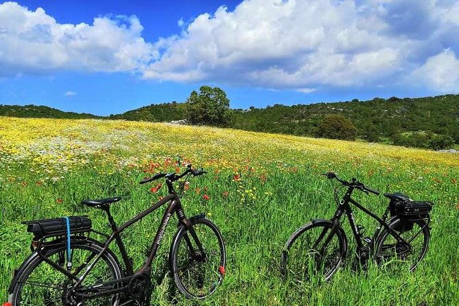 gps-self-guide-alberobello-and-masseria-mozzarella-and-focaccia-tastings-by-e-bike