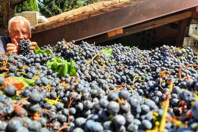 greve-in-chianti-wine-tasting-and-winery-tour