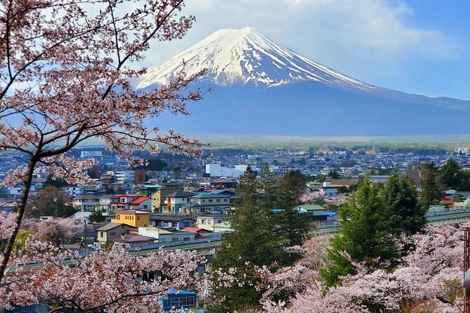guided-3-days-tour-tokyo-mt-fuji-and-hakone-green-number-plate