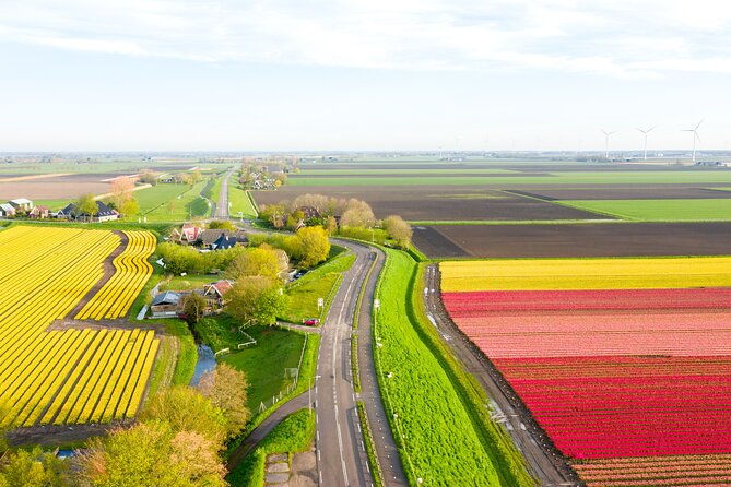 guided-bike-tour-along-the-dutch-tulip-fields-in-noord-holland