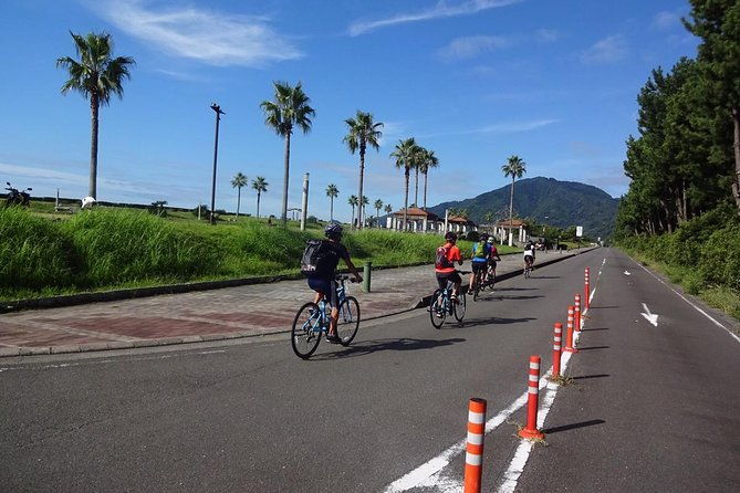 guided-hybrid-bike-tour-in-shizuoka-city-note-not-e-bikes