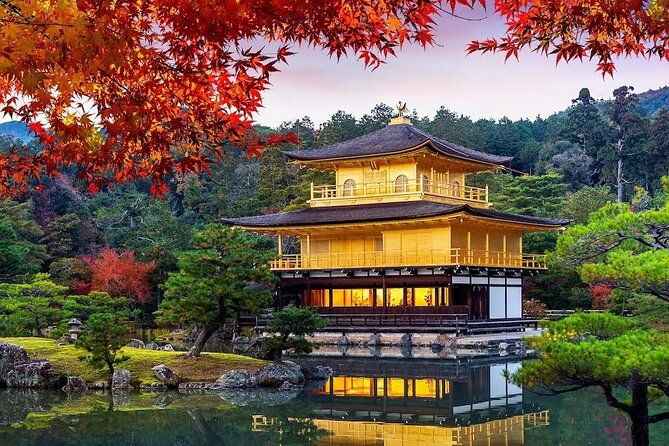 guided-kyoto-city-cherry-blossom-one-day-private-tour