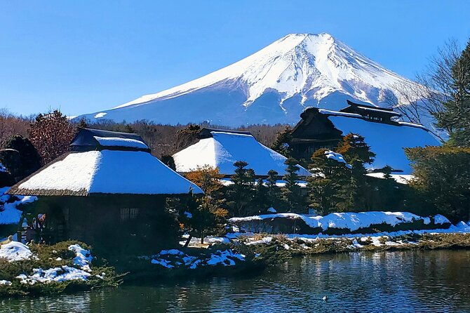 guided-private-mt-fuji-and-hakone-tour-green-number-plates