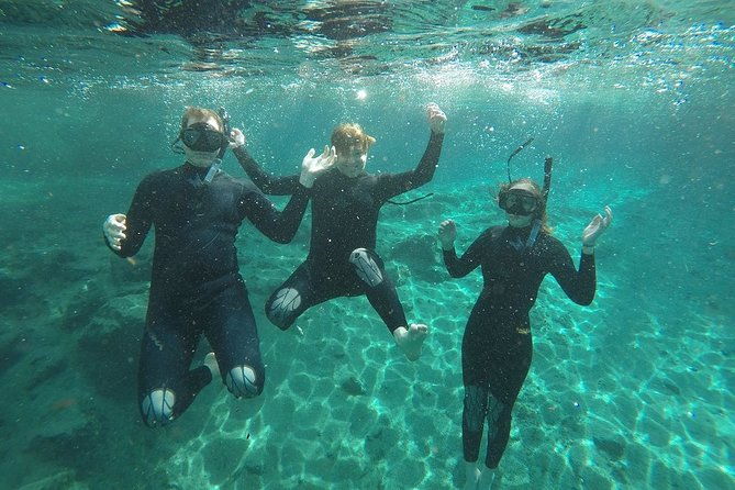 guided-small-group-manatee-snorkeling-tour-with-in-water-photographer