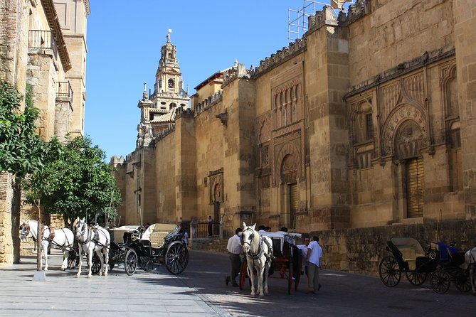 guided-tour-discover-the-2-great-monuments-in-cordoba-mezquita-and-alcazar
