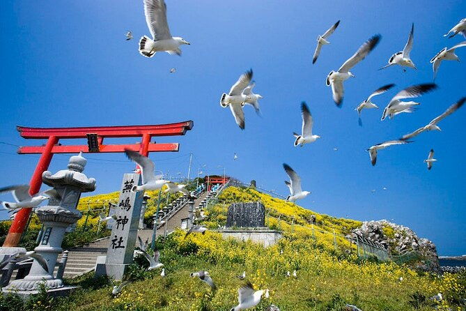 hachinohe-full-day-private-trip-with-government-licensed-guide