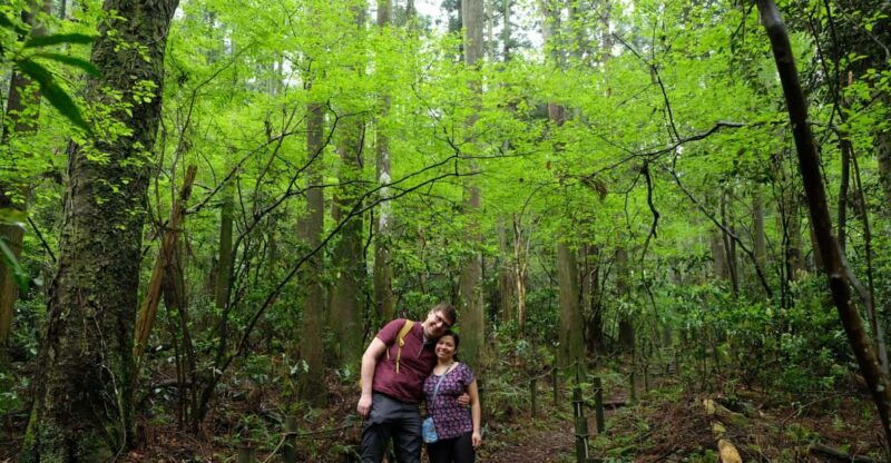 hakone-hachiri-old-tokaido-highway-hiking-half-day-tour