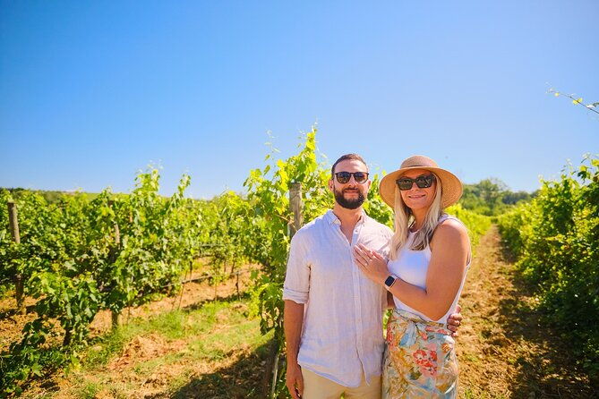 half-day-experience-to-san-gimignano-hills-with-picnic-and-wine