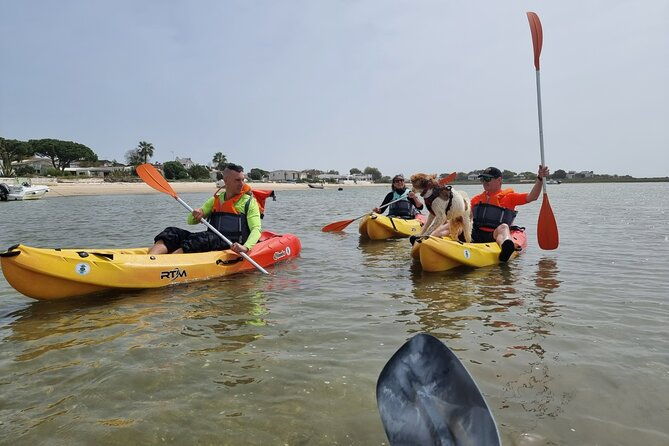 half-day-private-guided-kayak-island-tour