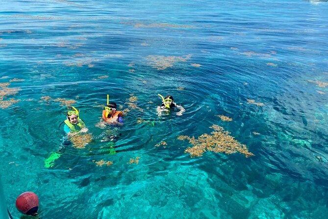 half-day-snorkel-trip-on-reefs-in-the-florida-keys