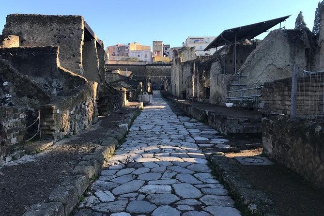 herculaneum-private-tour-skip-the-line-admission-included