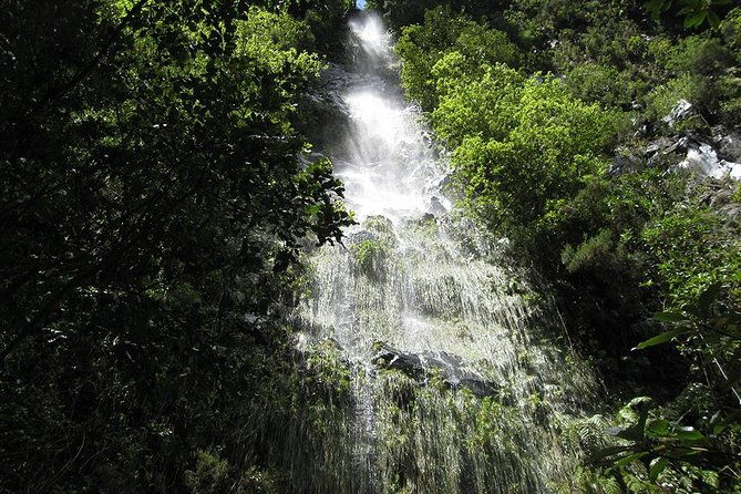 hidden-corners-levada-walk-from-funchal