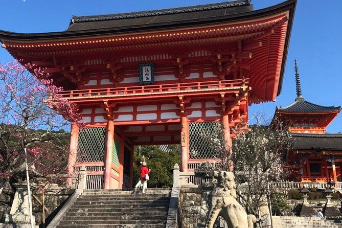 hidden-jem-and-highlights-in-kyoto-half-day-private