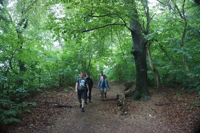 hiking-in-budapest