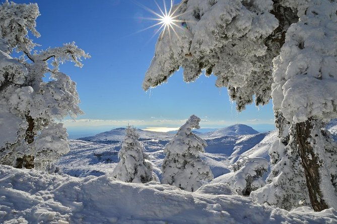 hiking-in-parnitha-national-park-from-athens