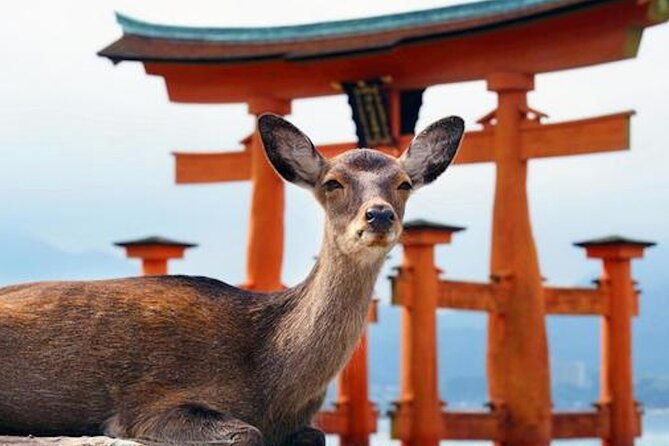 hiroshima-and-miyajima-private-custom-tour-with-local-guide