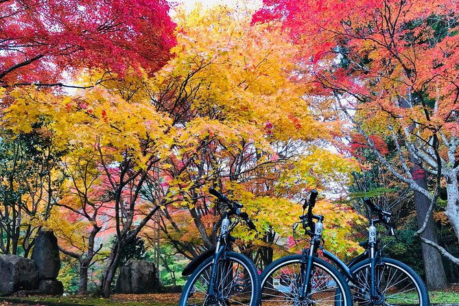 hiroshima-country-cycling-explore-rural-life-1-hr-from-the-city