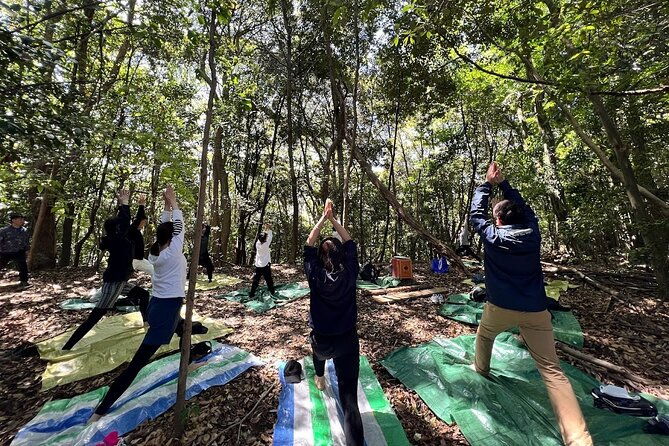hiroshima-local-guided-hiking-touropen-air-tea-ceremony