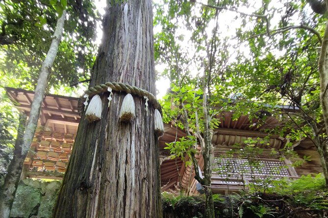 hiroshima-scenic-cycling-guided-tour