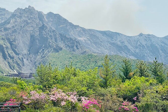 historical-hill-climb-e-bike-tour-to-sakurajimas-peak-2