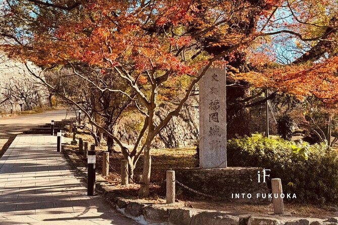 historical-tour-of-fukuoka-castle-and-gokoku-shrine