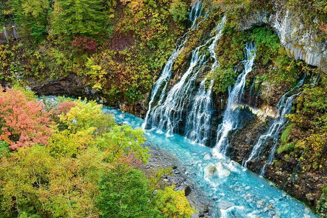 hokkaido-day-trip-from-sapporo-asahiyama-zoo-to-ningle-terrace