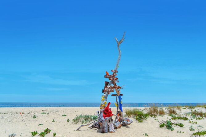 hop-on-hop-off-3-islands-deserta-farol-and-culatra