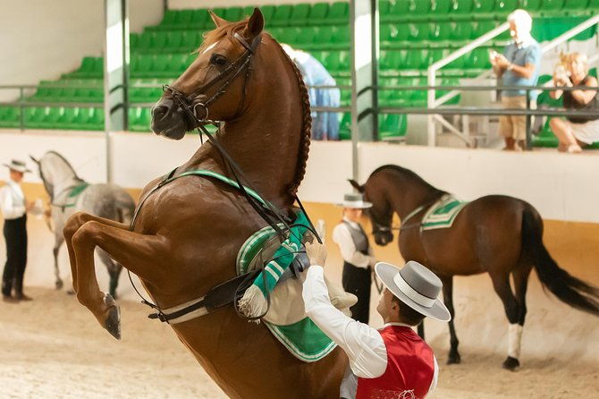 horse-and-flamenco-show-in-malaga