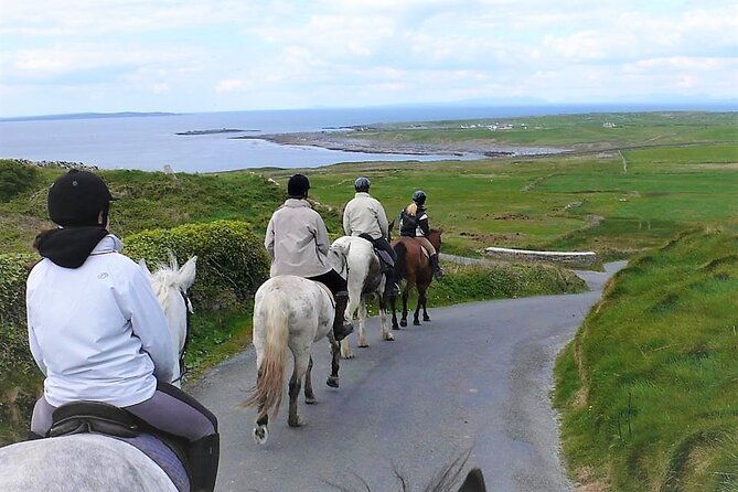 horse-riding-dirt-trek-trail-lisdoonvarna-clare-guided-1-hour