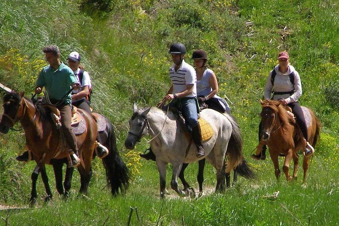 horse-riding-from-kusadasi-port-hotels