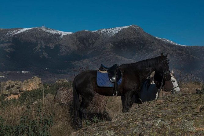 horse-riding-madrid-natural-park-long-trip