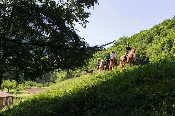 horseback-riding-in-a-country-side-in-sapporo-private-transfer-is-included