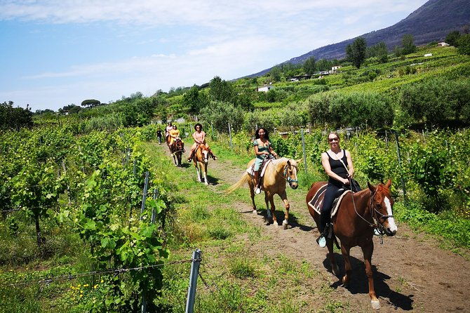 horseback-riding-on-vesuvius