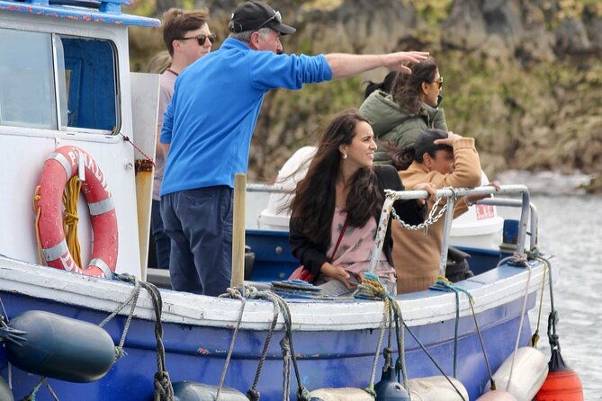 howth-coastal-boat-tour-irelands-eye-ferries-50-mins-trip