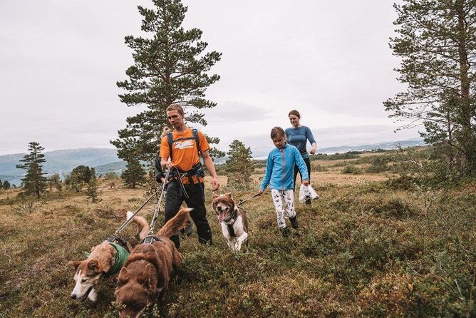 husky-hike-and-puppy-visit-with-lunch