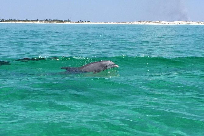 hydrojet-dolphin-cruise-in-destin-fl