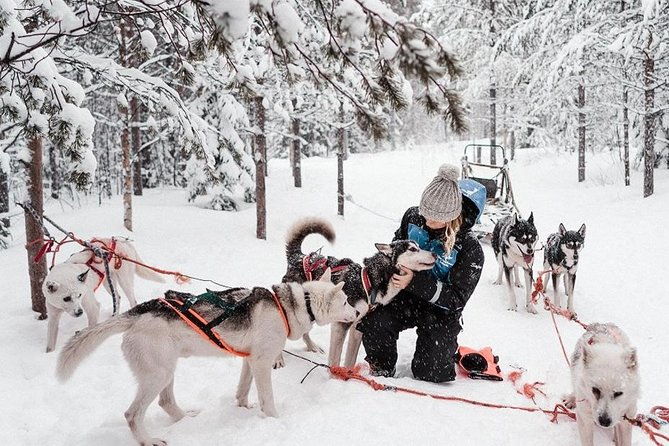 ice-fishing-and-husky