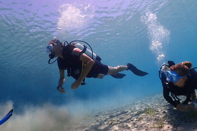 introductory-diving-in-small-groups