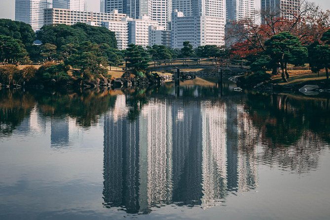 introductory-tokyo-tour-for-the-first-timers-learn-basic-travel-tips-and-tricks