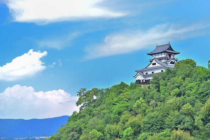 inuyama-private-tour-with-kimono-and-sado-experience-from-nagoya
